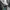 Converse x Suicidal Tendencies Chuck 70s Black White photo 6