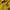 Cardigan kuning photo 2