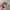 JAM TANGAN MINNIE MOUSE BY DISNEY photo 4