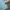 takeo kikuchi pocket tshirt #MYTS47 photo 3