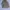 Laform cropped peacoat jacket photo 3
