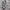 Sportswear Casual Sweatshirt Pria gray photo 3