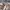 Sportswear Casual Sweatshirt Pria gray photo 6