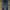 Wrangler Denim Selvedge