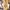 Nate Knitwear Bali Beige Goddess Set One Size photo 3