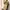 Nate Knitwear Bali Beige Goddess Set One Size