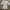 ♡✧ROJITA Dress (JPN)