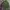 vintage harrington work jaket lyle & scott photo 1