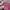 Streetwear Casual T-shirt Pria multicolor photo 3