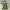 army halter cami top photo 1