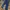 Levi's Selvedge photo 8