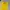 Jersey Dortmund