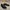 Sepatu CAT Boots photo 2