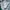 Sportswear Jersey Pria green photo 6