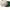 topi Altamont skateboard  photo 4