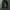 Berning sho Cavarize Cortis style Kmrii cartis style AFFLIC photo 3