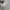 Valentino Garavani Open Leather Sneakers Trainer photo 7
