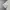 Nicole Club For Men Off-white Double Collar Polo (S) photo 4