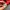 2000s Gardenia Red Contrast Sigilism Poem Crop Fit Tee (M) photo 10
