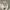 Y2K Casual Hoody Wanita multicolor gray photo 1