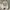 Y2K Casual Hoody Wanita Multicolor Gray