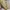 Louis Vuitton LV Sneakers Transparent Trainers photo 1