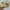 Louis Vuitton LV Sneakers Transparent Trainers photo 3