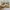 Louis Vuitton LV Sneakers Transparent Trainers photo 4