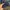 WINBREAKER ELLESE photo 4