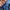WINBREAKER ELLESE photo 6
