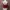 young hungry free reworked buttons knit fuschia cami top photo 3