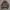 Kosugi knitwear vintage abstract pattern grandpa sweater photo 1