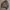 Kosugi knitwear vintage abstract pattern grandpa sweater photo 5
