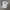 JERSEY BASEBALL DESCENTE, size L photo 2