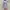 EMEI Purple Pastel Lace Dress
