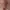 an Absolutely Remarkable Thing Hank Green photo 2