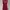 Massimo Dutti Red Tank Top Y2k