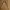 Casual Harrington jacket Pria tan cream photo 1