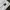 Nike Sportswear Jersey Pria white photo 4