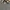 Earth Cable Grey Echology photo 6