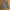 Casual Harrington jacket Pria green photo 6