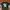 AMERICAN FOOTBALL TEE