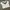 Umbro Vintage Sportswear Jersey Pria white photo 1