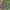 Knitwear blank green semi texture photo 5