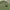 Knitwear blank green semi texture photo 4