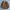 BlueLab Vintage Barnstormer Jacket Jaket