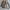 BlueLab Vintage Barnstormer Jacket Jaket photo 4