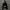hoodie bepe original photo 1