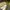 Timberland boots icon  photo 6