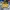 Timberland boots icon  photo 2